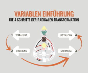 Variablen Einführungkurs